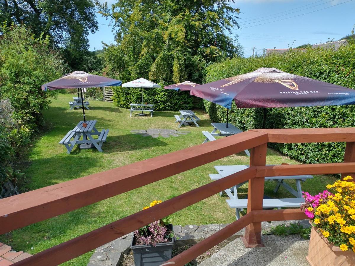 Llanina Arms Otel Llanarth  Dış mekan fotoğraf